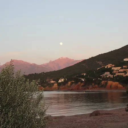 Casa vacanze La Vigne Pour 6 En Bord De Plage *